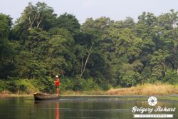 Népal : safari dans le parc national de Chitwan