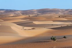Adrar, le trésor saharien de la Mauritanie