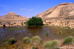 Les Bardenas Reales, un désert dans l'oasis