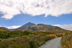 IMG_3790