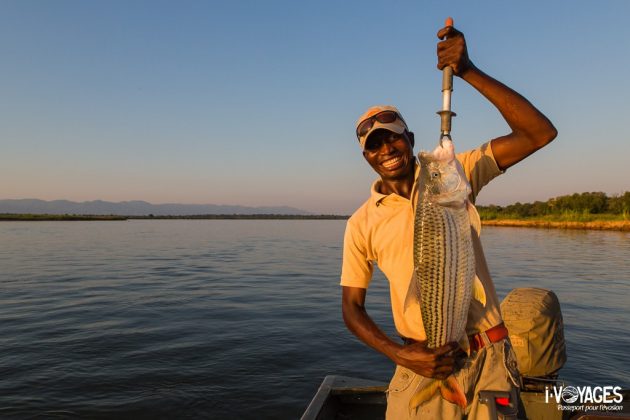 Pêche Lower Zambezi