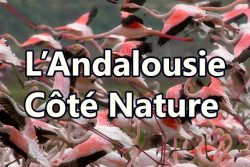 L’Andalousie, côté nature