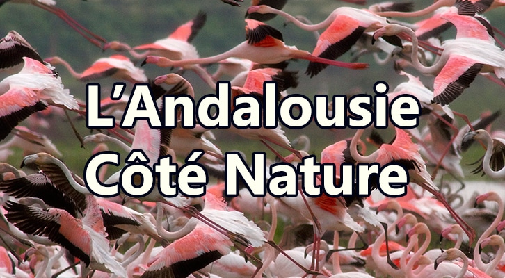 Andalousie côté nature