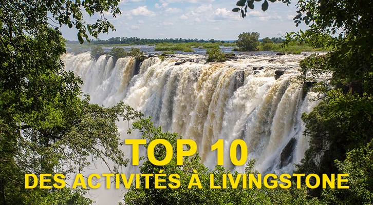 Top 10 des activités à Livingstone