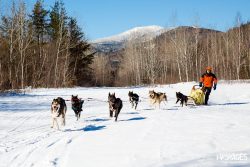 Traîneau à chiens au Québec : mon raid dans l’arrière pays de Charlevoix