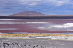 L'altiplano argentin et bolivien en 50 photos