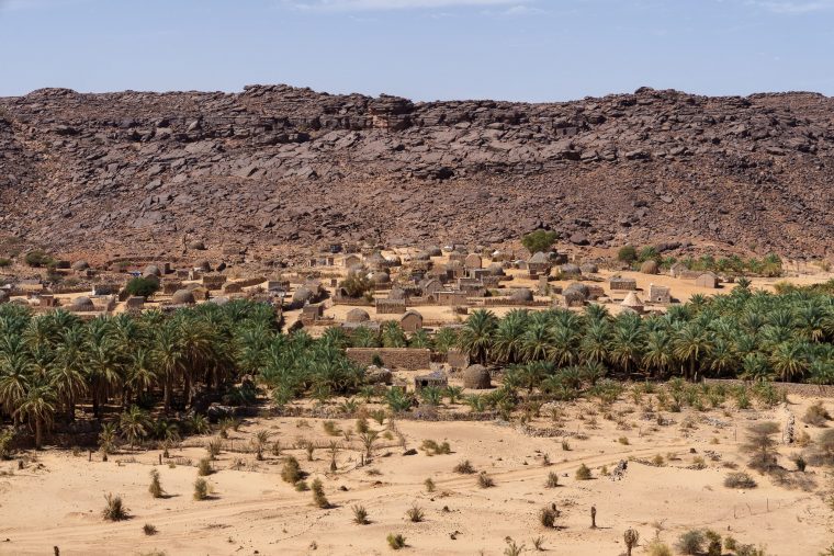 Palmeraie de H'Maireth, Mauritanie