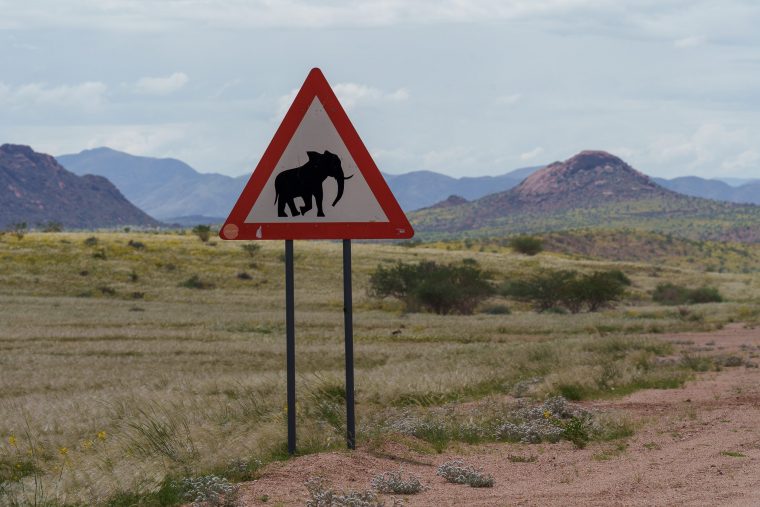 Panneau Attention éléphant, Namibie
