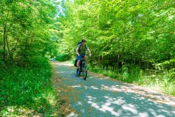 Balade à vélo dans la forêt de Compiègne de château en château