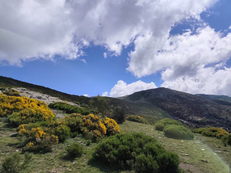 Dans la montagne, en direction du Turó d'en Bessa, un sommet à près de 1 400 m.